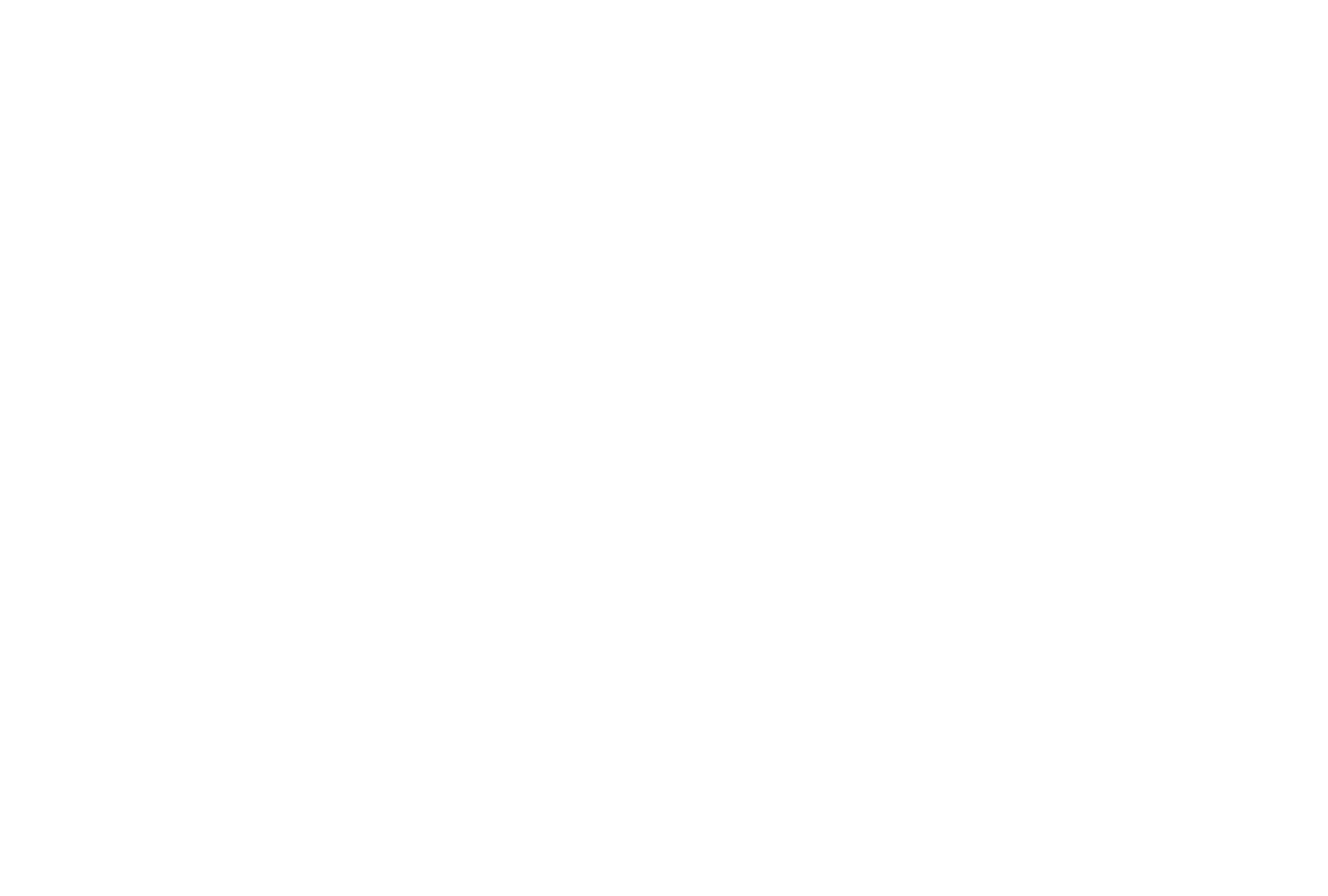 Quality Precision Inspections